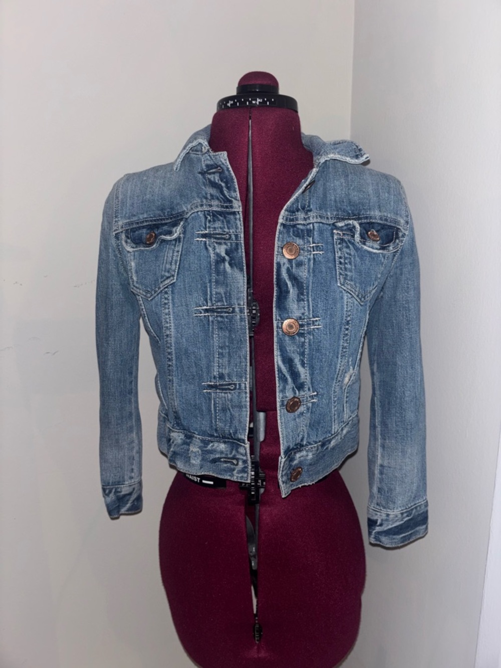 American Eagle Outfitters Light Blue Distressed Denim Jacket